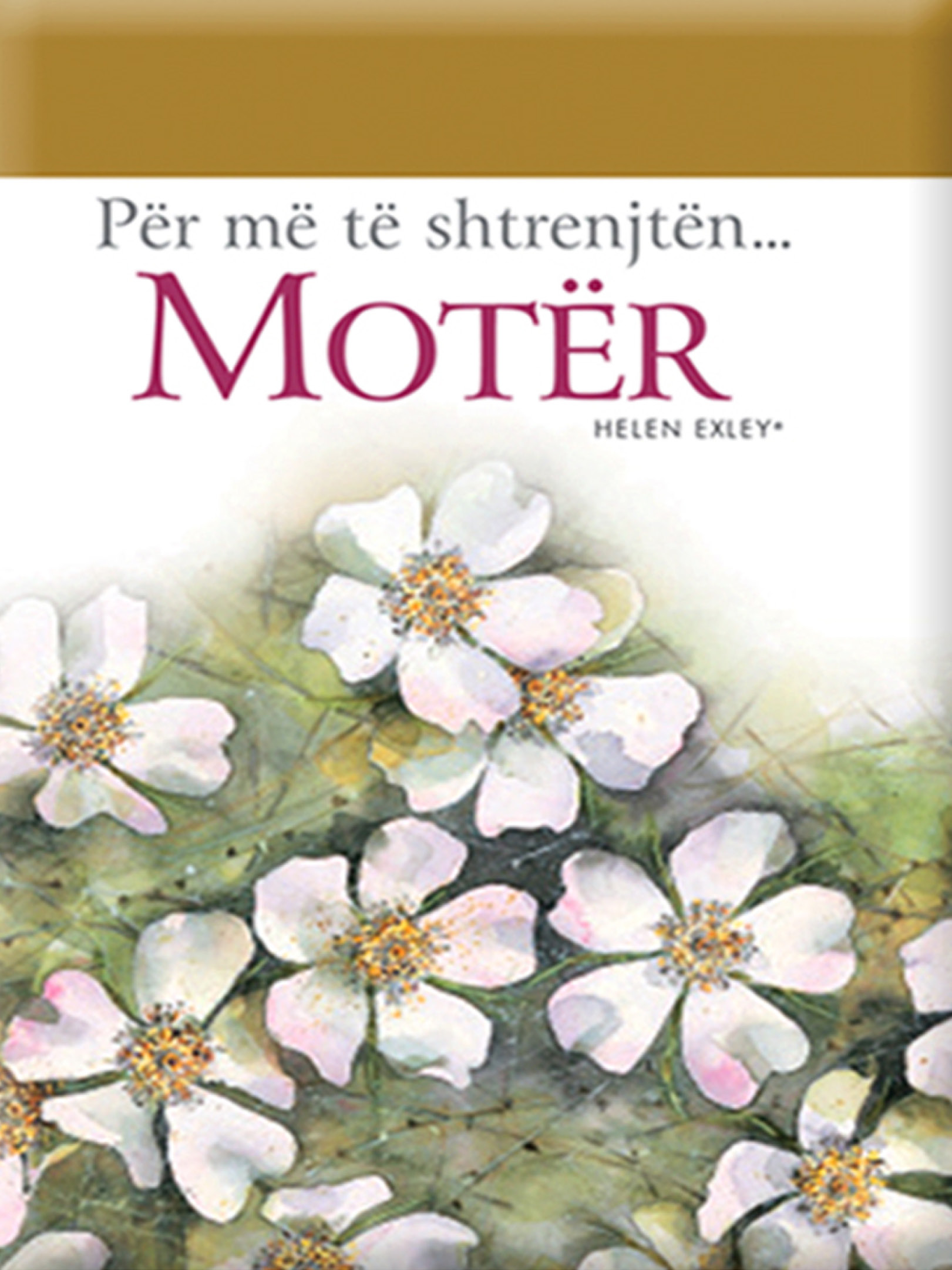 Për më të shtrenjtën “Motër”